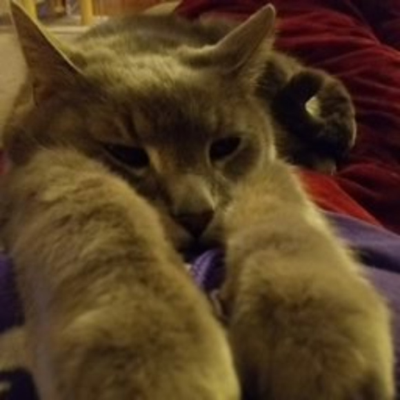 Every Offer is Considered 🐸 - Picture 3 of 7